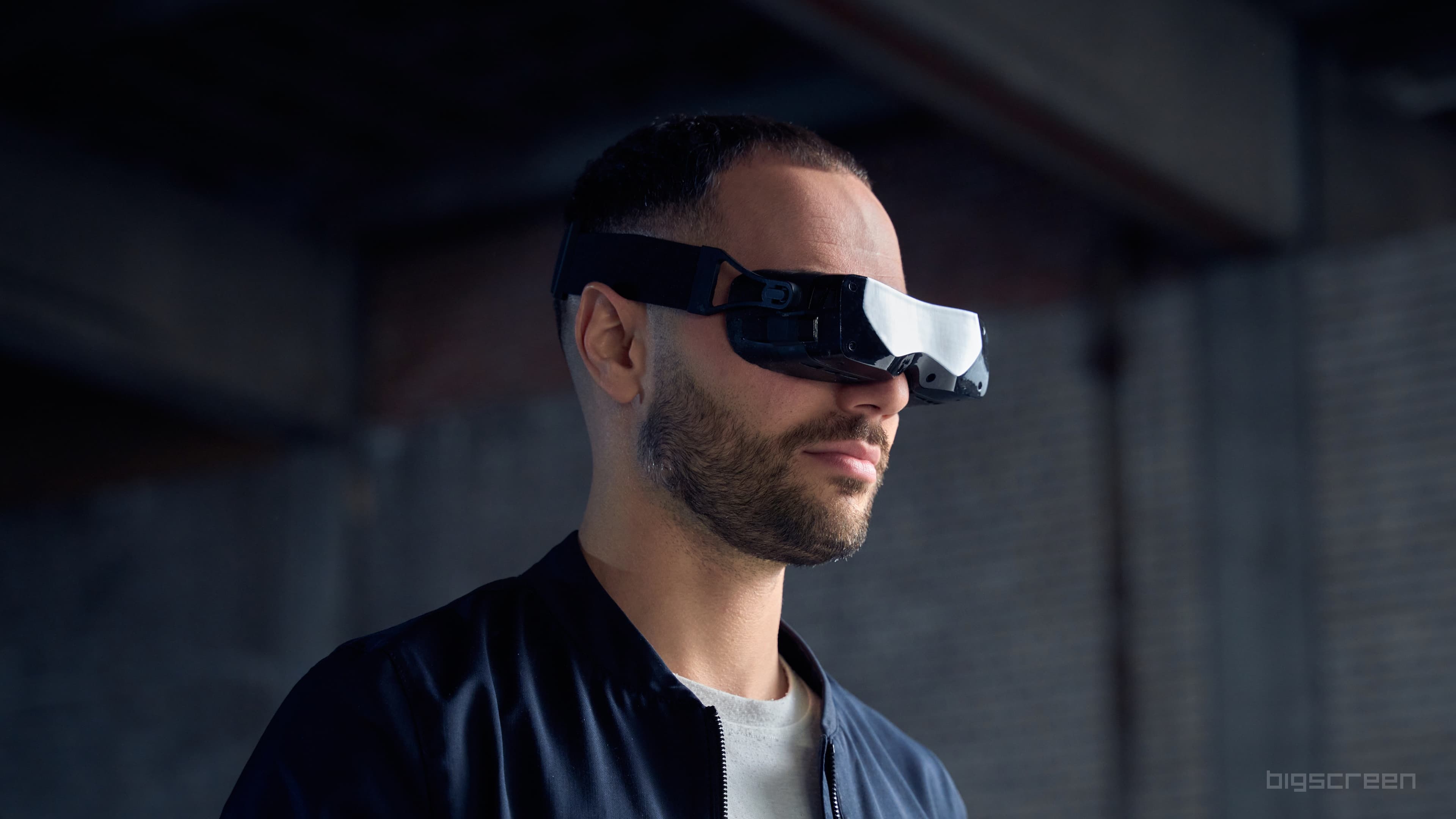 Bigscreen VR